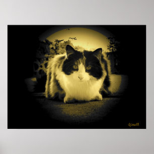Muisoog uitzicht poster