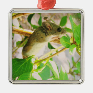 MuisOrnament Metalen Ornament