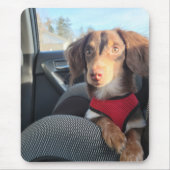 muispad met Kio de puppy Muismat (Voorkant)