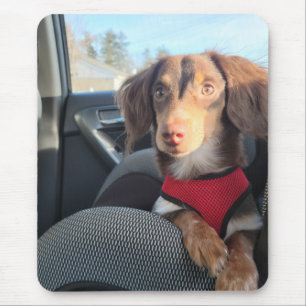 muispad met Kio de puppy Muismat