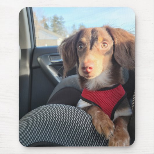 muispad met Kio de puppy Muismat (Voorkant)