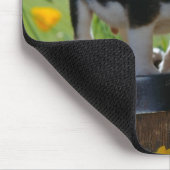 muispit voor puppy muismat (Hoek)