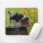 muispit voor puppy muismat (Met muis)