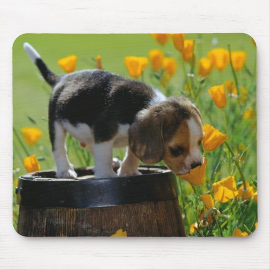 muispit voor puppy muismat (Voorkant)