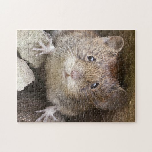 Muisportret Legpuzzel (Horizontaal)