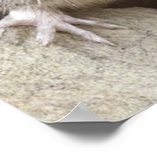 Muisportret Poster (Hoek)