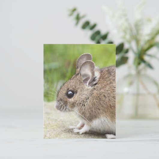 Muisprofiel Briefkaart (Staand voorkant)