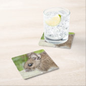 Muisprofiel Kartonnen Onderzetters (Insitu)