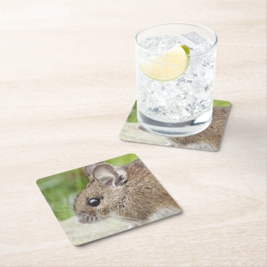 Muisprofiel Kartonnen Onderzetters (Insitu)