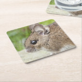 Muisprofiel Kartonnen Onderzetters (Schuin)