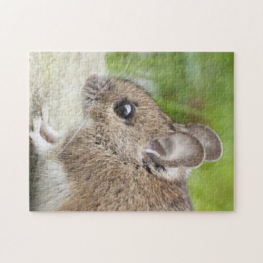 Muisprofiel Legpuzzel (Horizontaal)