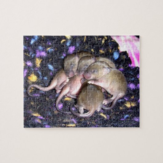 Muispuzzel: Baby Agouti Muizen Legpuzzel (Horizontaal)