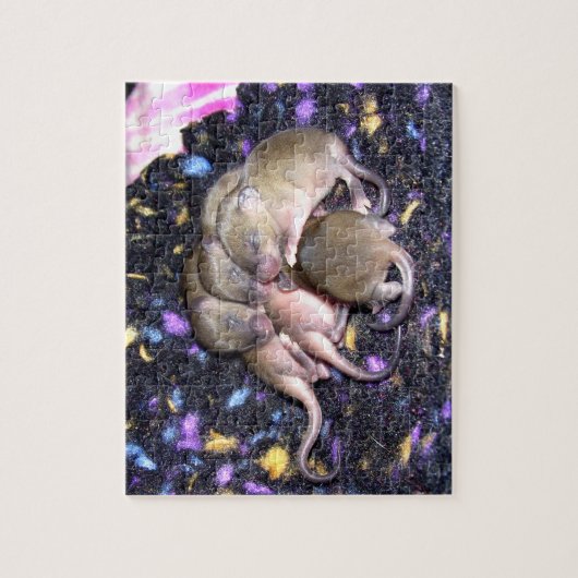 Muispuzzel: Baby Agouti Muizen Legpuzzel (Verticaal)