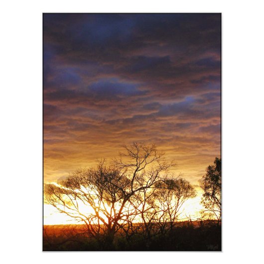 Muisscapes: Foto van levende kunst Foto Afdruk (Voorkant)