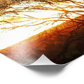 Muisscapes: Foto van levende kunst Foto Afdruk (Hoek)