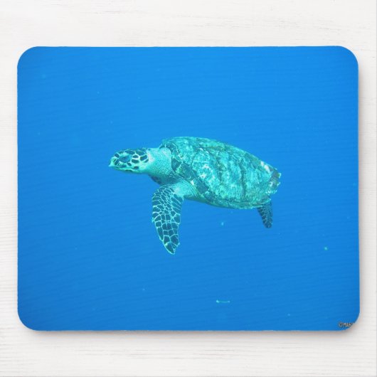 Muisschildpad'''' Muismat (Voorkant)