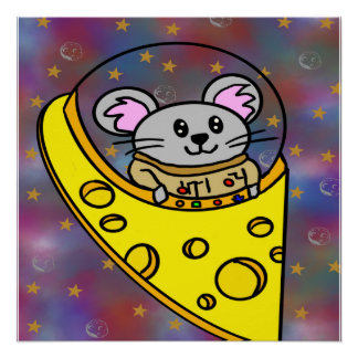 muisschip perfect poster