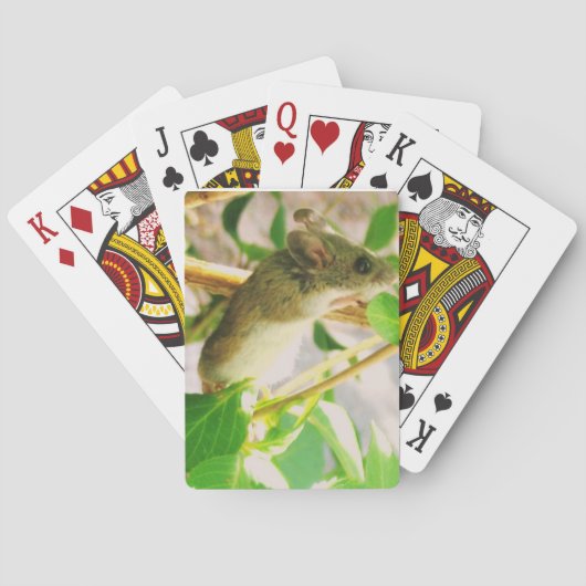 Muisspelkaarten Speelkaarten (Achterkant)
