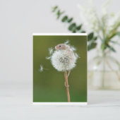 Muiswensen Briefkaart (Staand voorkant)