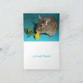 Muiswisselaar Kaart (Binnen)