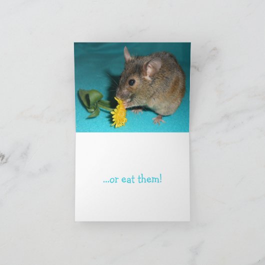 Muiswisselaar Kaart (Binnen)