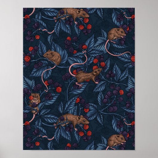 Muizen en bramen op de marine poster (Voorkant)