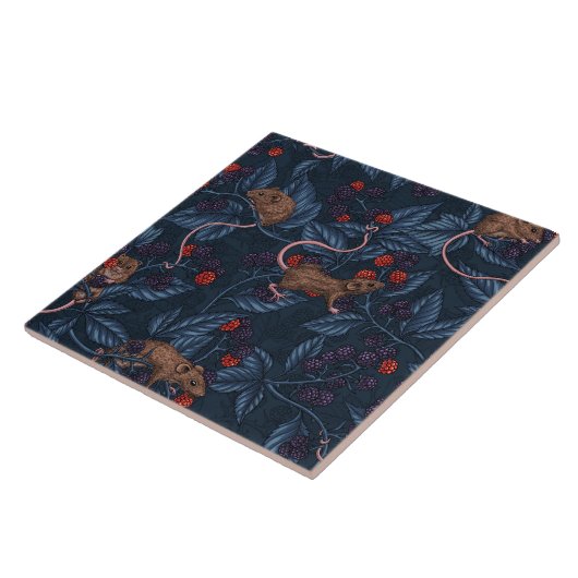 Muizen en bramen op de marine tegeltje (Zijkant)