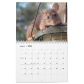Muizen en ratten 2026 kalender (Mar 2026)