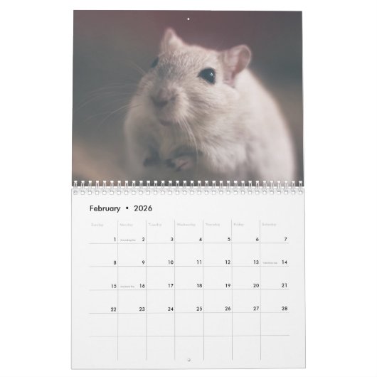 Muizen en ratten 2026 kalender (Feb 2026)