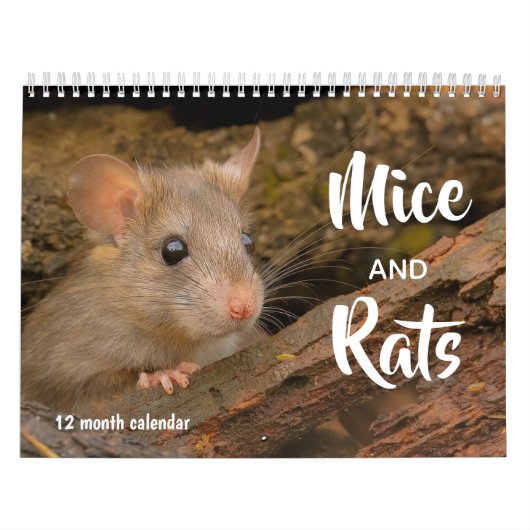 Muizen en ratten 2026 kalender (Hoes)