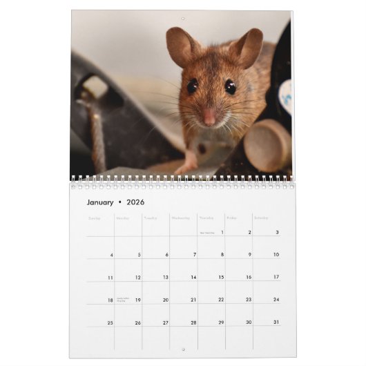 Muizen en ratten 2026 kalender (Jan 2026)