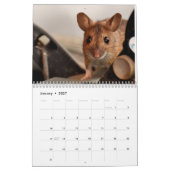 Muizen en ratten 2026 kalender (Jan 2027)