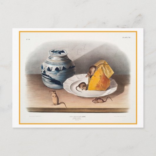 Muizen eten kaas Illustratie Briefkaart (Voorkant)