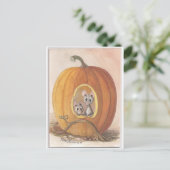 muizen in pompoen briefkaart (Staand voorkant)