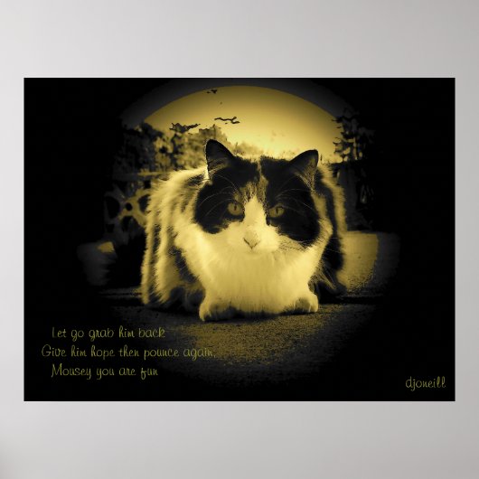 Muizen zijn vun Peep Hole Kat Haiku Poster (Voorkant)