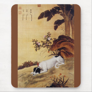 Mukongque 蓦 鹊 ~ Greyhound ~ Giuseppe Castiglio Muismat