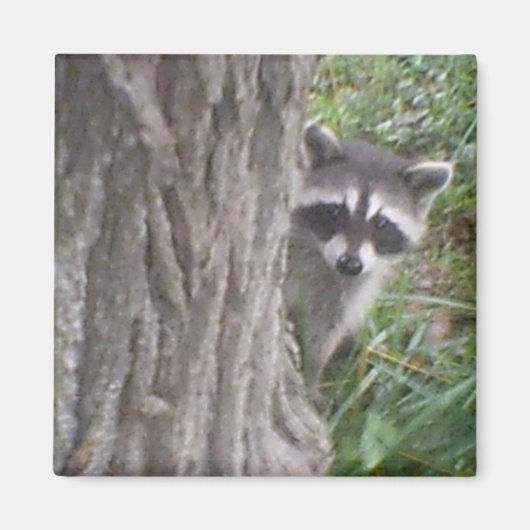 Mulberry de wasbeermagneet magneet (Voorkant)