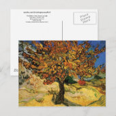 Mulberry Tree (F637) Van Gogh Fine Art Briefkaart (Voorkant / Achterkant)