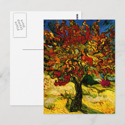 Mulberry Tree Van Gogh Fine Art Briefkaart (Voorkant / Achterkant)