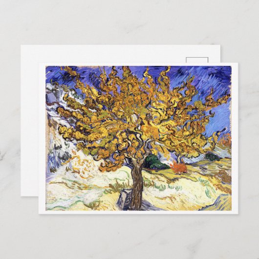 Mulberry Tree, Vincent van Gogh Briefkaart (Voorkant / Achterkant)