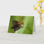 Mulberrywing Kaart (Gele Bloem)