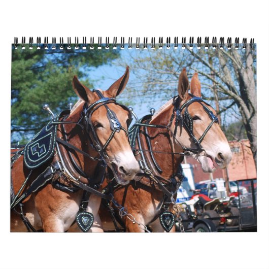 MULE DAGEN KALENDER (Hoes)