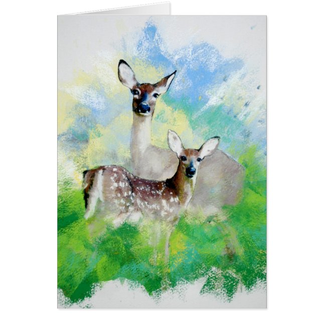 Mule Deer (Voorkant)