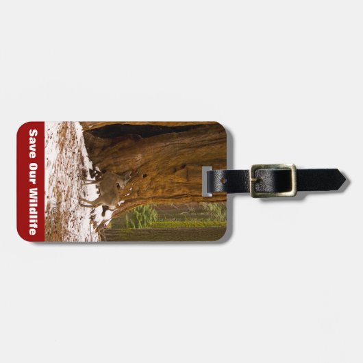 Mule Deer Bagagelabel (Voorkant horizontaal)