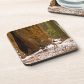 Mule Deer Bier Onderzetter (Linkerzijde)