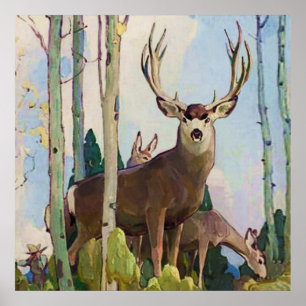 “Mule Deer bok en vrouwtje” door W Herbert Dunton Poster