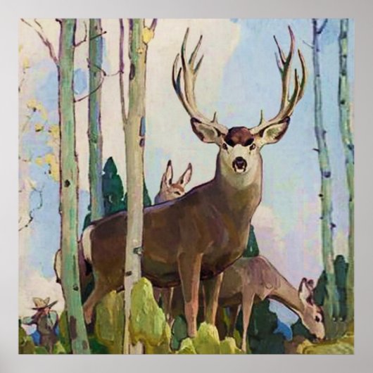 “Mule Deer bok en vrouwtje” door W Herbert Dunton Poster (Voorkant)
