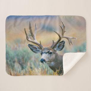 Mule Deer bok Grand Teton National Park Wyoming Sherpa Deken