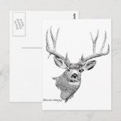 Mule Deer Briefkaart (Voorkant / Achterkant)