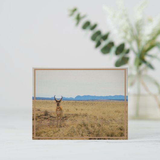 Mule Deer Briefkaart (Staand voorkant)